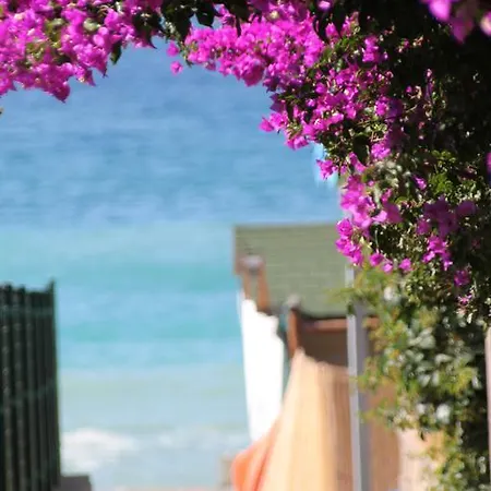 酒店 马洛蒂酒店 3*