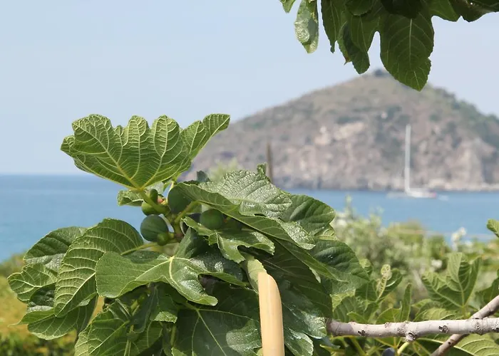 Hotel Maronti Barano dʼIschia