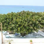 Maronti