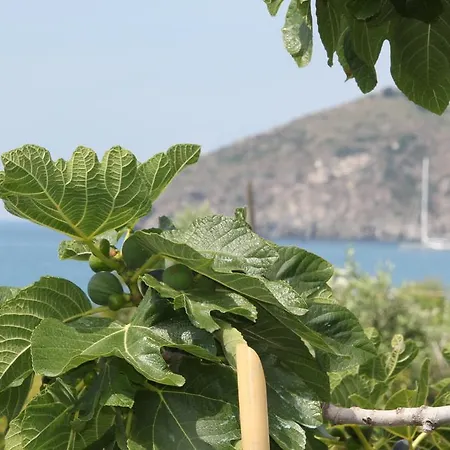 호텔 Maronti 바라노디스키아